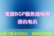 深度了解渗透测试: 重要性和流程-海外服务器