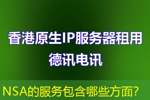 NSA的服务包含哪些方面？