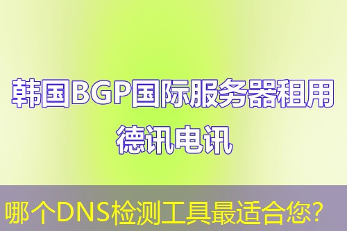 哪个DNS检测工具最适合您？