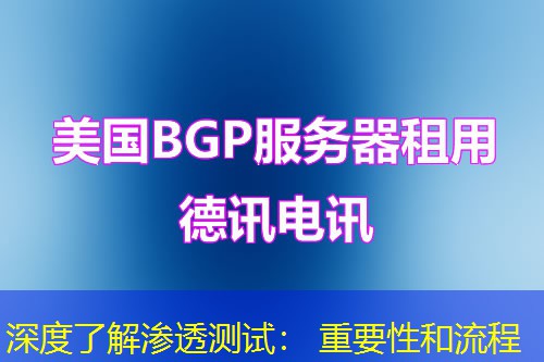 深度了解渗透测试： 重要性和流程