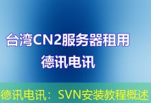 德讯电讯:SVN安装教程概述-海外服务器