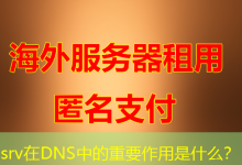 srv在DNS中的重要作用是什么?-海外服务器