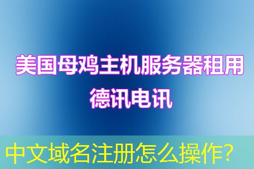 中文域名注册怎么操作？