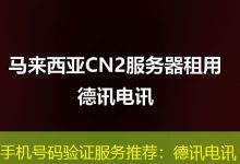 手机号码验证服务推荐:德讯电讯-海外服务器