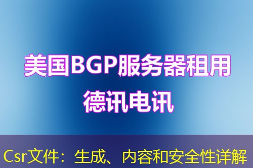 Csr文件：生成、内容和安全性详解