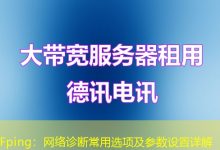 Fping:网络诊断常用选项及参数设置详解-海外服务器