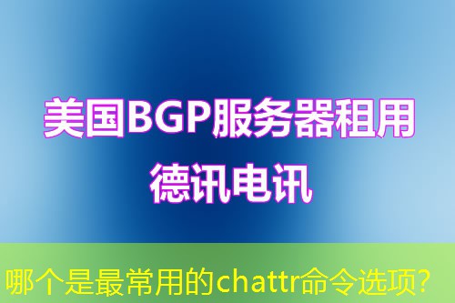 哪个是最常用的chattr命令选项？