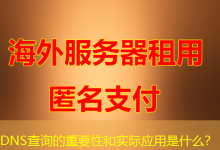 DNS查询的重要性和实际应用是什么?-海外服务器