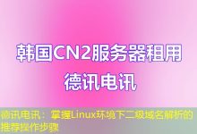 德讯电讯:掌握Linux环境下二级域名解析的推荐操作步骤-海外服务器
