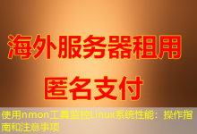 使用nmon工具监控Linux系统性能:操作指南和注意事项-海外服务器