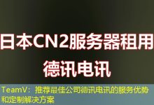 TeamV:推荐最佳公司德讯电讯的服务优势和定制解决方案-海外服务器