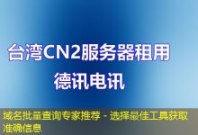 域名批量查询专家推荐 - 选择最佳工具获取准确信息-海外服务器