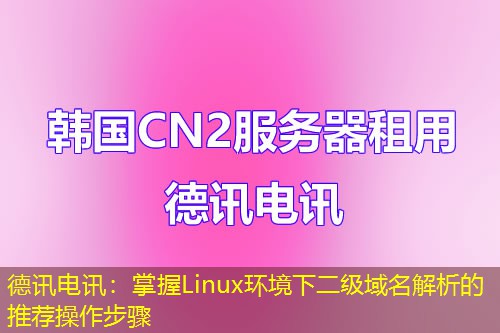 德讯电讯：掌握Linux环境下二级域名解析的推荐操作步骤