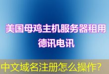 中文域名注册怎么操作?-海外服务器