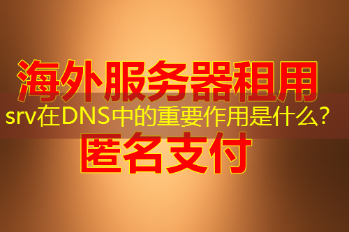 srv在DNS中的重要作用是什么？